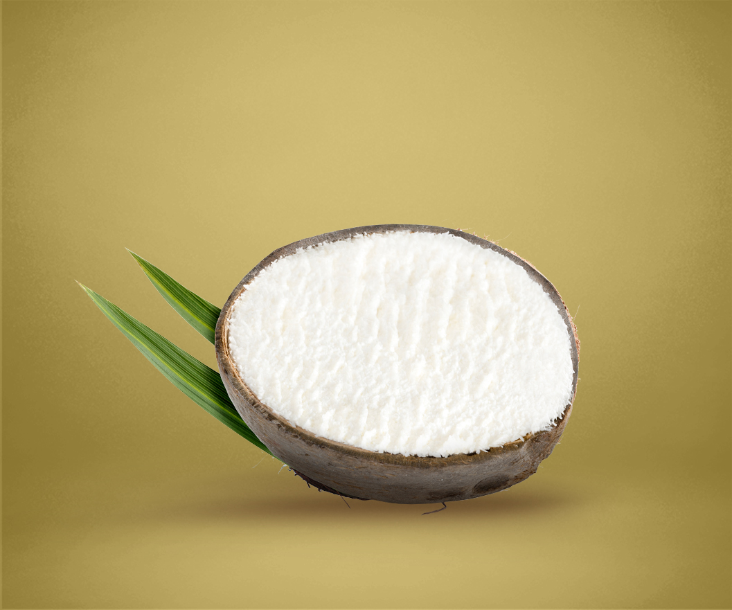 Frozen Coconut